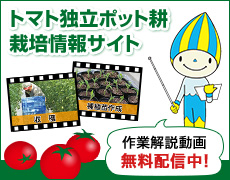 トマト独立ポット耕栽培情報サイト